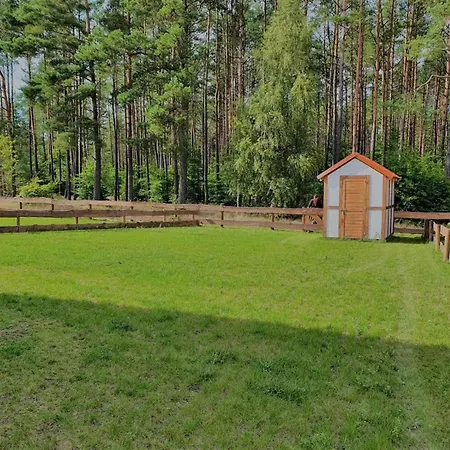 Na Kaszubach 8-1 - Ostoja Bukowo Borowy Mlyn